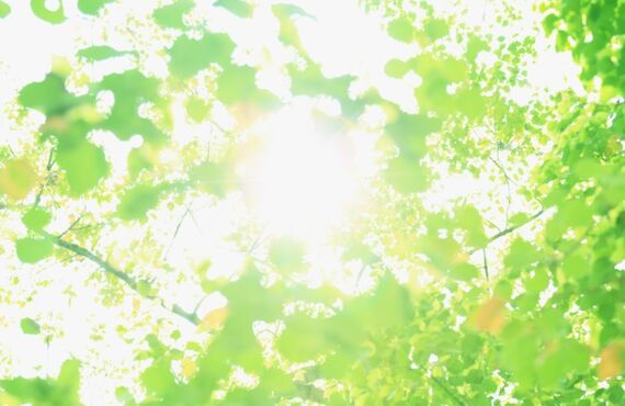 イベント予約はこちら Health＆Beauty ㏌ろまんちっく村/mental&body Serapia[セラピア]宇都宮